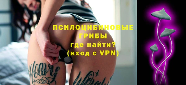 трава Верхнеуральск