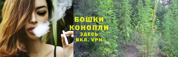 стафф Верея