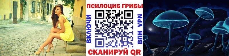 Псилоцибиновые грибы Cubensis  Мурманск 